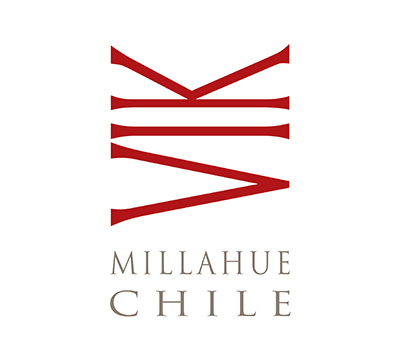 VIK - Millahue Valley - Chile